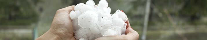 hail in hands